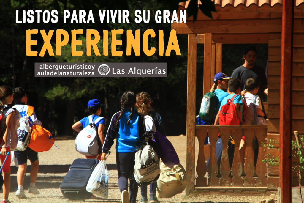 EXPERIENCIA