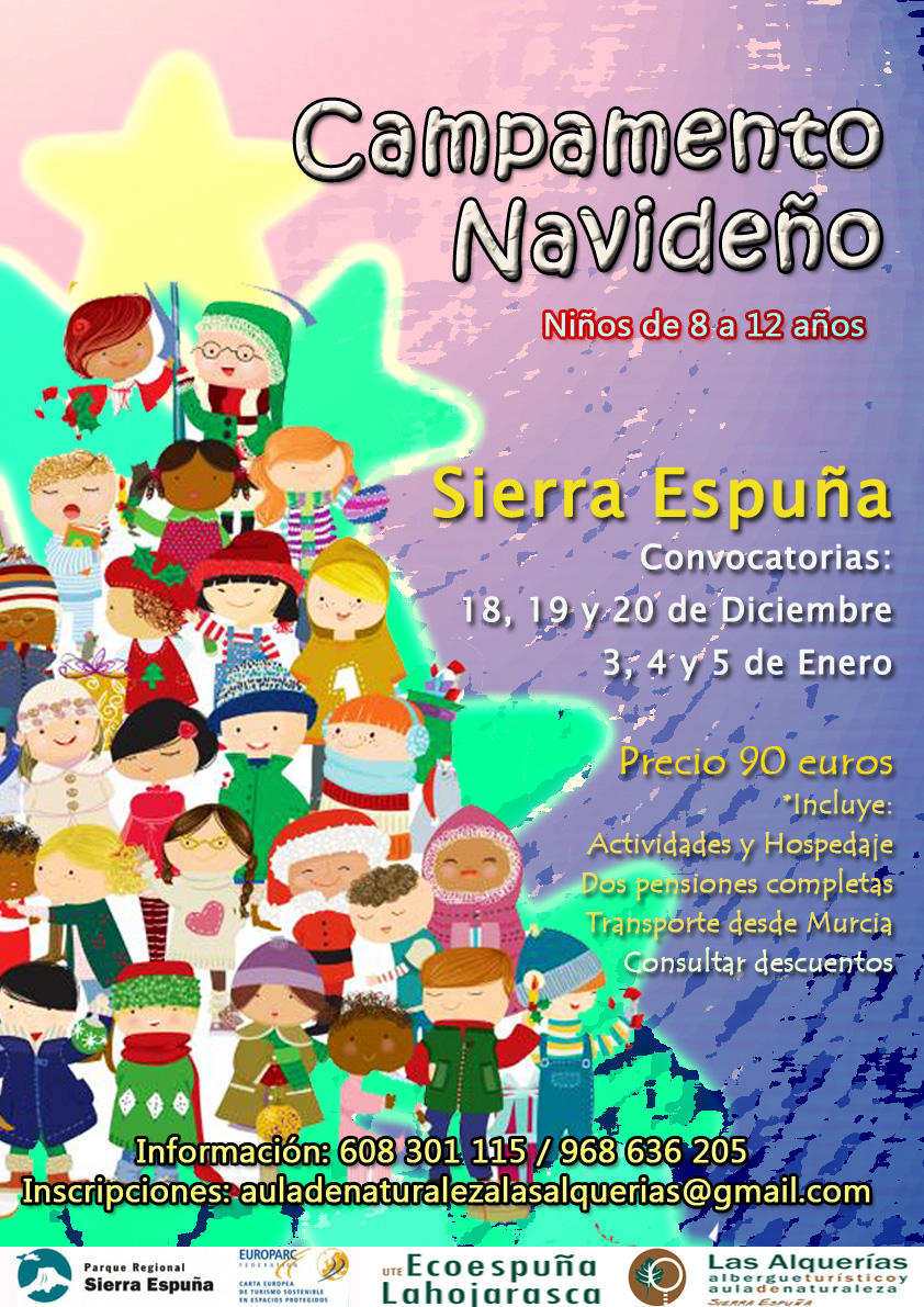 cartel navidad_15
