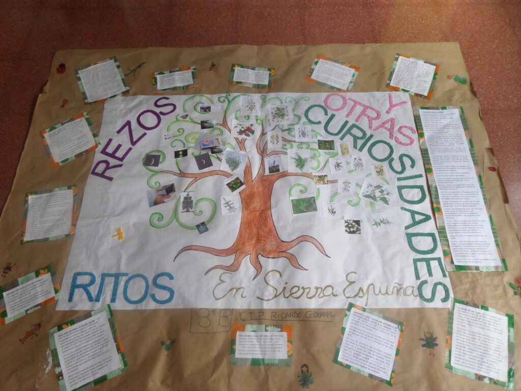 rezos ritos y otras curiosidades