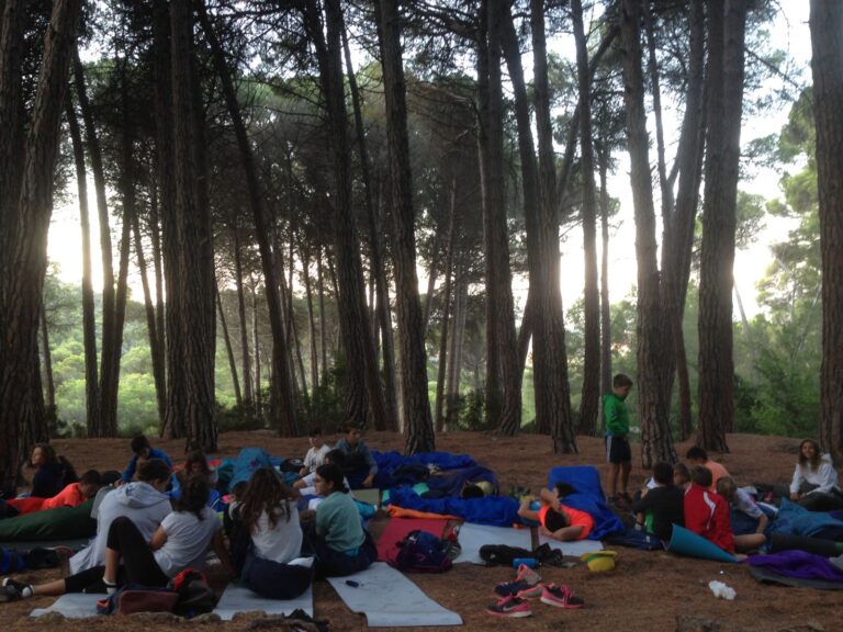 campamentos de verano murcia