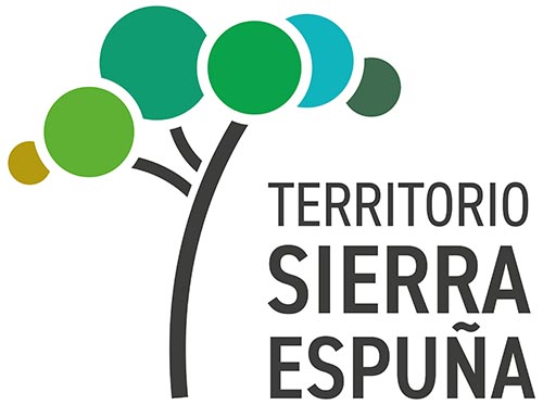 logo_territorio_nuevo
